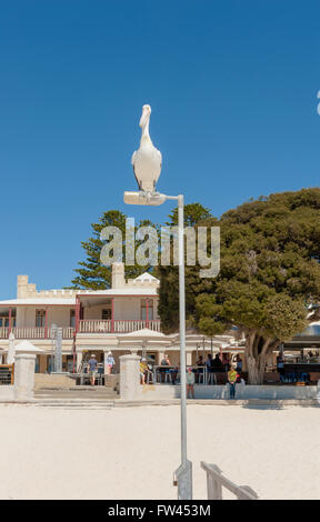 Pelican sitting on a pole at The Settlement, Thomson Bay, Rottnest Island, Western Australia, Australia Stock Photo