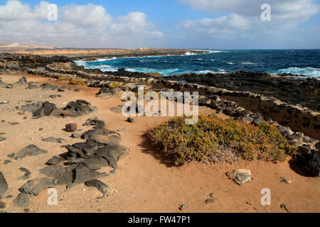 Coastline at Museo de la Sal, Salt museum, Las Salinas del Carmen, Fuerteventura, Canary Islands, Spain Stock Photo