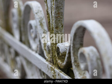 vintage old wrought-iron fence macro photo Stock Photo