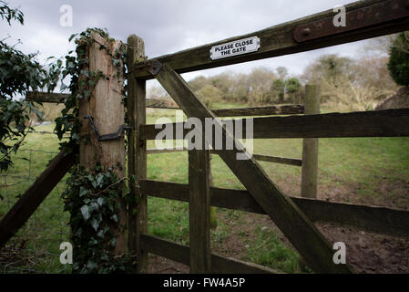 Old wooden gate entering a farmer's field with a please shut the gate sign on it. Stock Photo