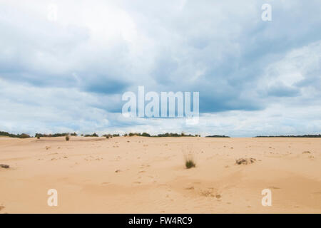 Cloudy blue sky above camel colored sand dunes Stock Photo