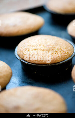 Freshly baked muffins or cupcakes in small baking tins on a metal tray at a bakery, close up view with selective focus Stock Photo