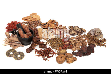 Chinese herb ingredients used in traditional herbal medicine with mortar and pestle and old feng shui coins over white. Stock Photo