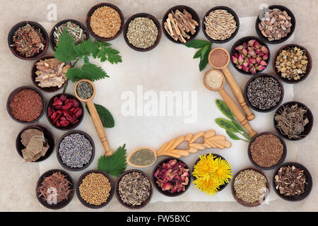 Super food with herb and spice selection used in natural alternative medicine for women. Stock Photo