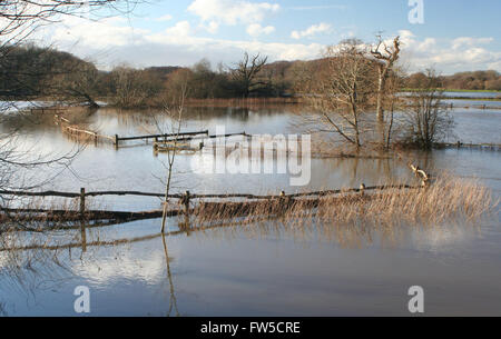 Flooding in the Arun Valley Stock Photo