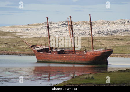 Lady Elizabeth run aground in the Falkland Islands British Overseas Territory Stock Photo