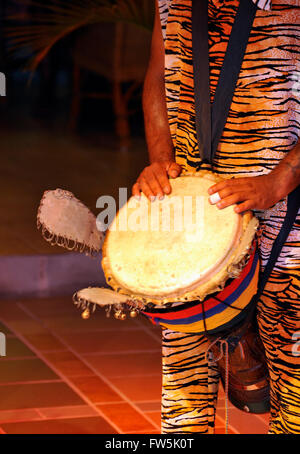 Various Artists - Mauritius - Ile Maurice : Tambour Ravanne Drum: lyrics  and songs