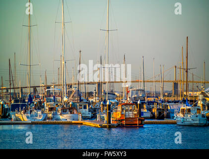 Yachts and fishing boats bathed in late afternoon warm glow against the West Gate Bridge, in Williamstown, Melbourne Australia Stock Photo