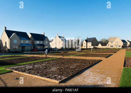 Allotments on a new housing development on the outskirts of Cotswold market town Fairford in Gloucestershire, England, UK Stock Photo