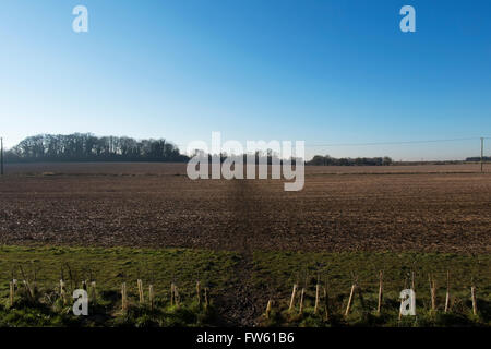 Field next to a new housing development on the outskirts of Cotswold market town Fairford in Gloucestershire, England, UK Stock Photo