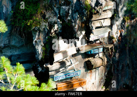 Hanging Coffins - Sagada - Philippines Stock Photo