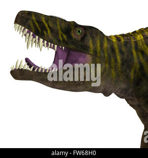 Batrachotomus was a carnivorous archosaur predator that lived in Germany during the Triassic Period. Stock Photo