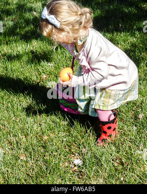 A two year old Caucasian toddler girl hunts Easter eggs outdoors, preparing to put one in her Easter basket. Stock Photo