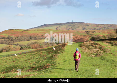 Looking towards the summit of Brown Clee Hill on a stormy winters day ...