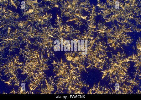 Close-up of Frost on a Window Stock Photo