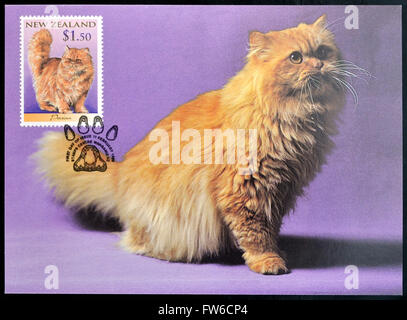 NEW ZEALAND - CIRCA 1998: stamp printed in New Zealand shows Domestic Cat, Persian, circa 1998 Stock Photo