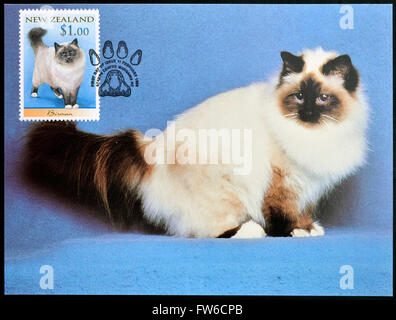 NEW ZEALAND - CIRCA 1998: stamp printed in New Zealand shows Domestic Cat, Birman, circa 1998 Stock Photo