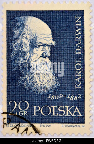 POLAND - CIRCA 1959: A stamp printed in Poland shows Charles Darwin (1809-1882), circa 1959 Stock Photo