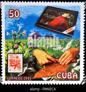 CUBA - CIRCA 2003: A stamp printed in cuba dedicated to Cuban cigars, shows snuff, circa 2003 Stock Photo