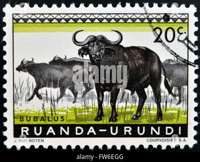 RUANDA - URUNDI - CIRCA 1960: A stamp printed in Ruanda - Urundi shows Bubalus, circa 1960 Stock Photo
