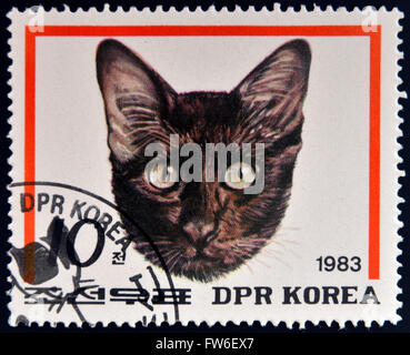 DPR KOREA - CIRCA 1983: A stamp printed in North Korea shows Havana Brown Cat, circa 1983 Stock Photo
