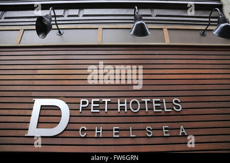 D pet Hotels Chelsea, Manhattan, New York City, USA Stock Photo
