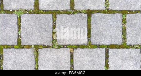 HD seamless texture, square stone block pavement with grass Stock Photo