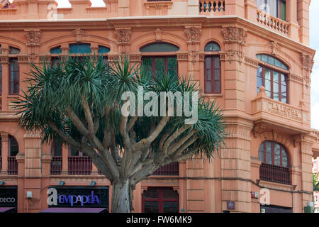 Spanien, Teneriffa, Santa Cruz, Fabrica La Lucha, Calle del Pilar / Calle Suarez Guerra in der Nähe der Plaza del Príncipe. Das Stock Photo