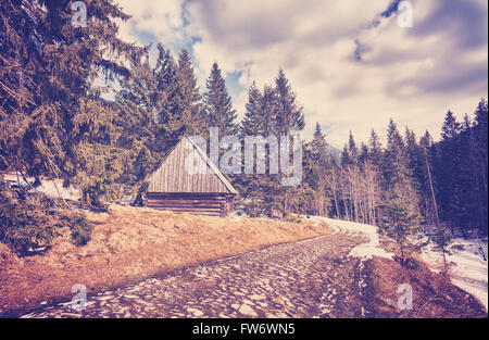 Vintage toned wooden hut by cobblestone road in Tatra Mountains, end of winter and beginning of spring when first crocuses start Stock Photo