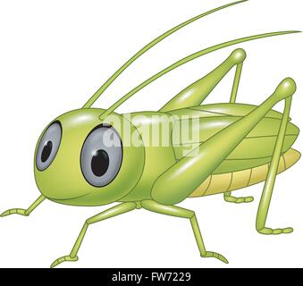 Cute grasshopper posing isolated on white background Stock Vector