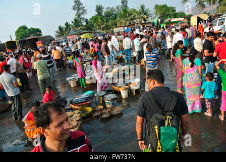 Fish kept for sale in the fish market, Harney village, Konkan, India Stock Photo