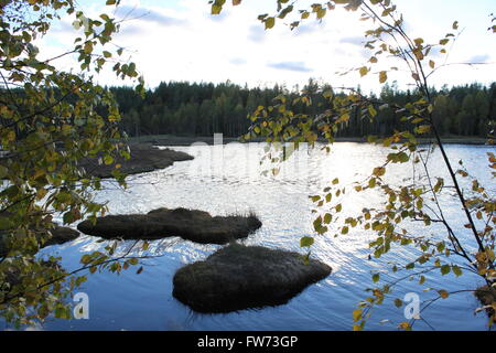 Lake in front of a forest and clouds in Värmland, Sweden. The water displays mirror-like reflections. Stock Photo