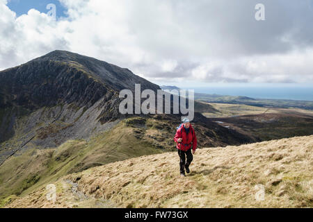Hiker ascending Mynydd Tal-y-mignedd from Craig Cwm Silyn on Crib Nantlle Ridge in mountains of Snowdonia National Park. Wales UK Stock Photo