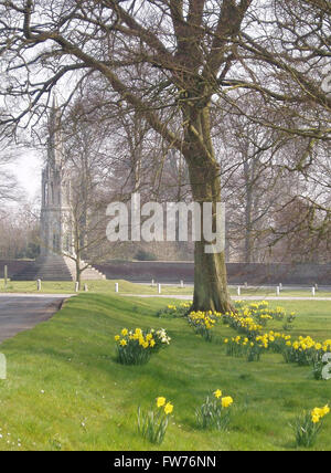 Sledmere Daffodils Stock Photo