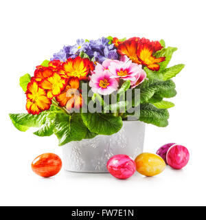 Spring primula flowers and colorful easter eggs isolated on white background. Objects with clipping path Stock Photo
