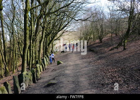 Chevin Woods, at Chevin Forest Park, Otley, West Yorkshire. Stock Photo