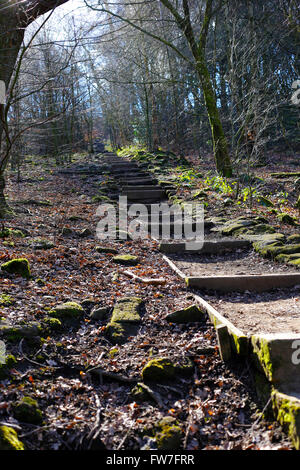 Chevin Steps, at Chevin Forest Park, Otley, West Yorkshire. Stock Photo