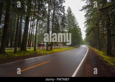 Oregon forest with a rural highway running through it. Stock Photo