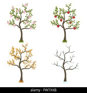 four seasons trees art - vector illustration. eps 8 Stock Vector