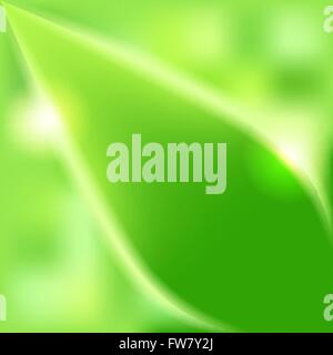 green leaves blurred background - vector illustration. eps 10 Stock Vector