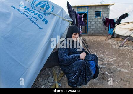 Depressed old woman in Salarara refugee camp, Iraq Stock Photo