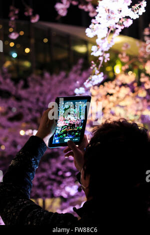 Cherry blossoms of Tokyo Midtown Hinokicho park Stock Photo - Alamy