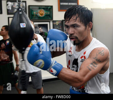 Hollywood, California, USA. 1st April, 2016. Manny Pacquiao works out with his trainer Freddie Roach on his upcoming fight with Timothy BradleyThe two will be fighting each other for the 3rd time Saturday, April 9, at the MGM Grand Garden Arena in Las Vegas, Nevada. 1st Apr, 2016. Photo by Gene Blevins/LA Daily News/ZumaPress Credit:  Gene Blevins/ZUMA Wire/Alamy Live News Stock Photo