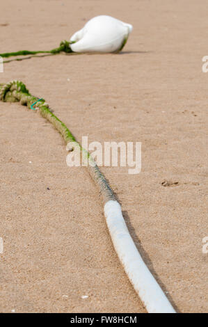 White buoy lying in the yellow sand of a beach Stock Photo