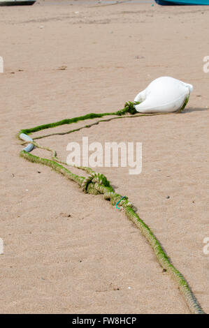 White buoy lying in the yellow sand of a beach Stock Photo