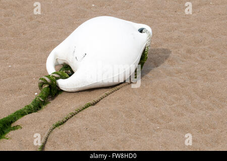 White buoy lying in the yellow sand of a beach Stock Photo