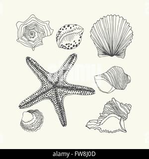 Hand- drawn shells set Stock Vector