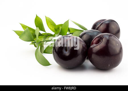 Four plums isolated on white background Stock Photo