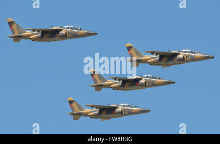 Royal Moroccan Air Force Alpha Jets flying at the Marrakech Air Show in Morocco. Stock Photo