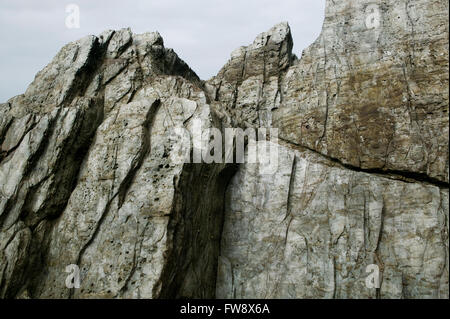 Slabs of slate like rock on a beach on the North Devon coast in the UK. The rock looks like it shines in the dull grey light and has been uplifted over millions of years so that the strat is nearly vertical instead of being horizontal as it would have been when the rock was formed. Stock Photo